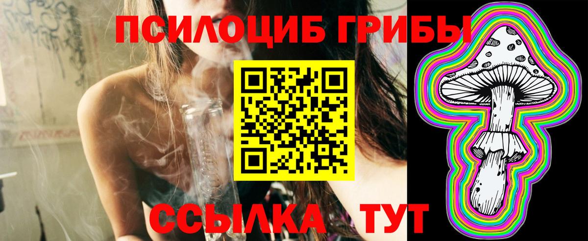 Галлюциногенные грибы Cubensis Владикавказ