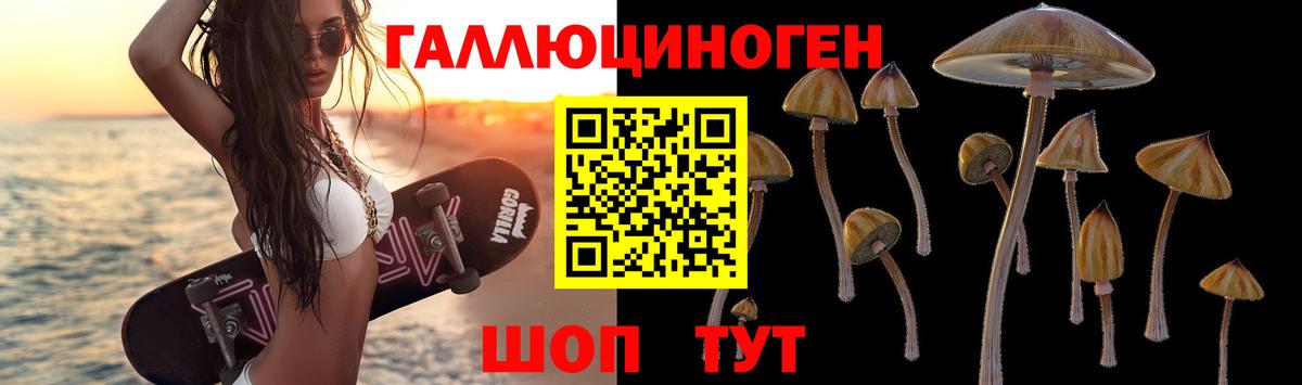 Владикавказ  наркота  Вход с VPN  Псилоцибиновые грибы прущие грибы 